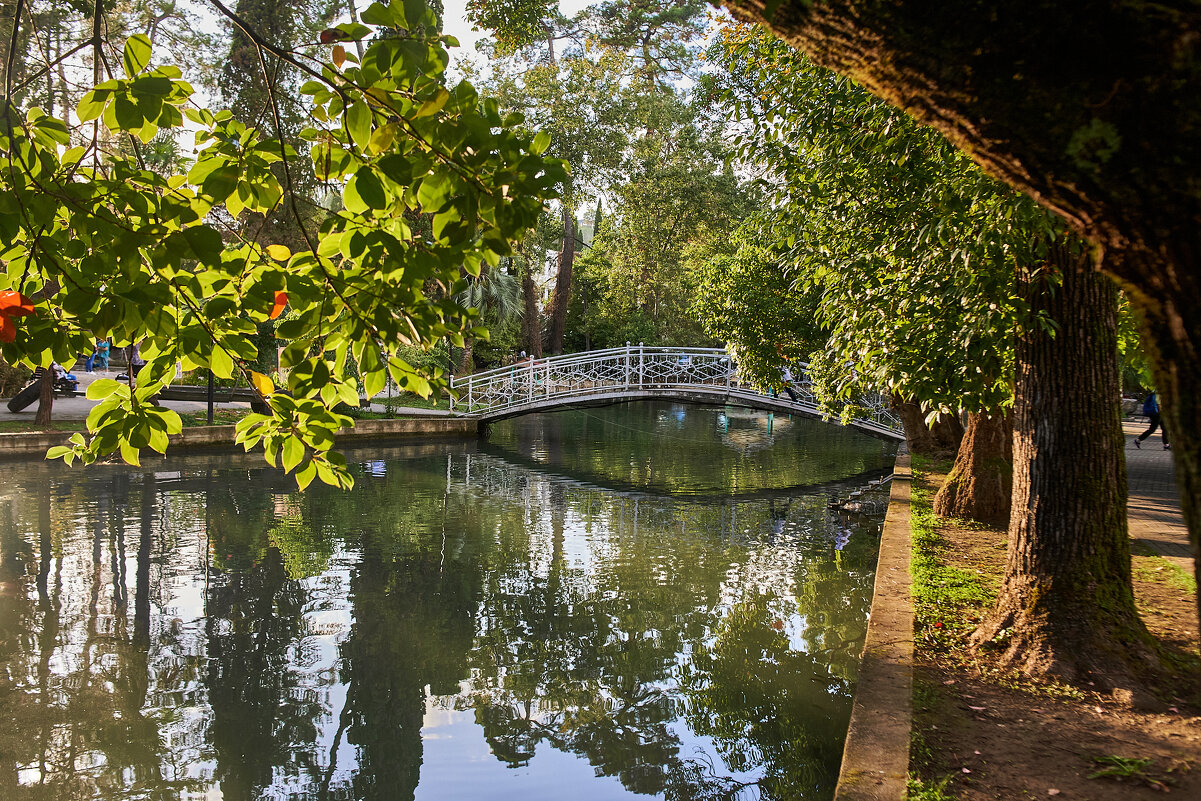 Парк Нового АФона - Александр Леонов