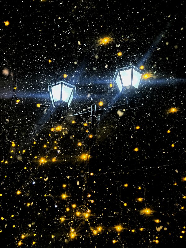 Зима - Елена 