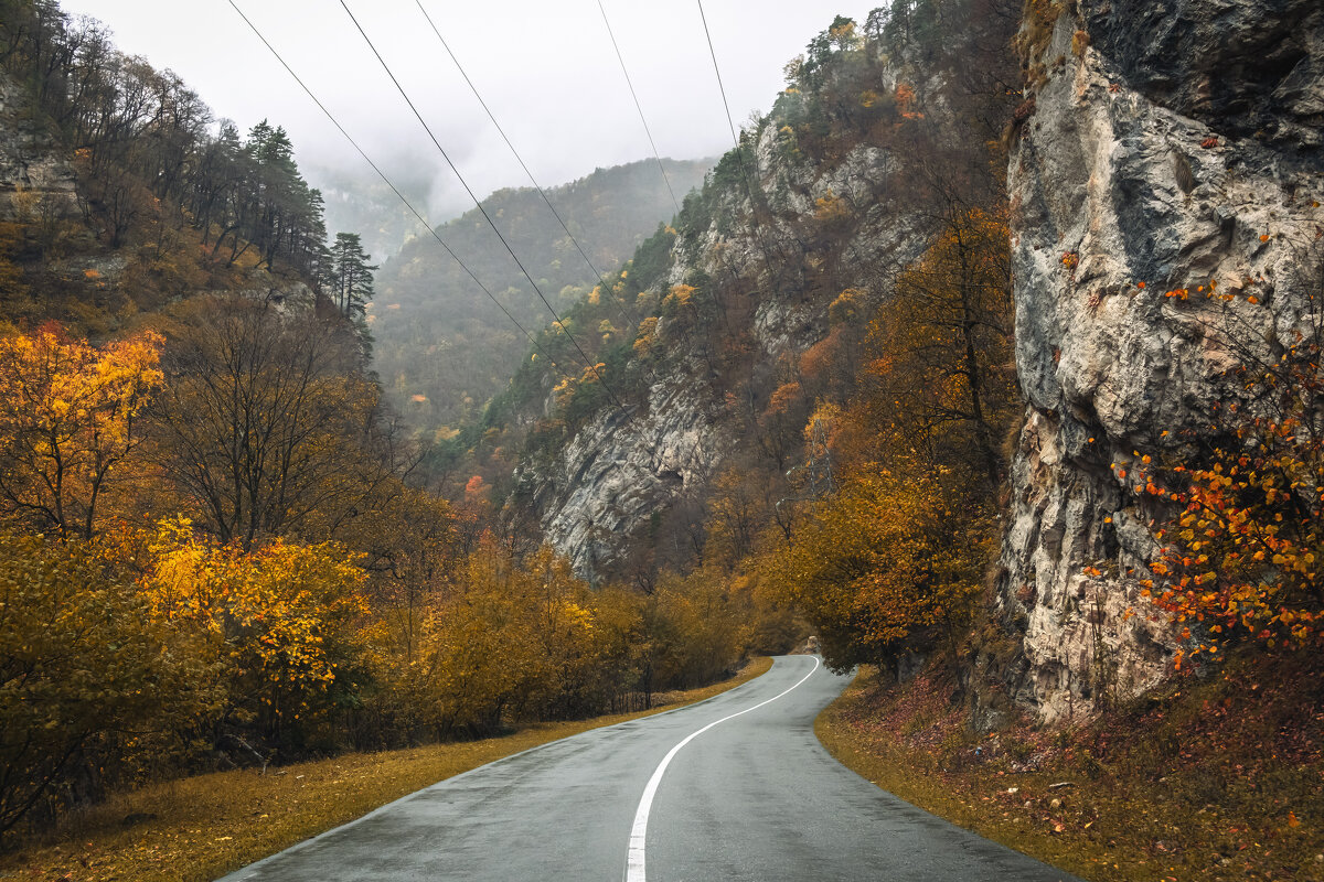 Золото Цей- Лоам - Сергей Сабешкин