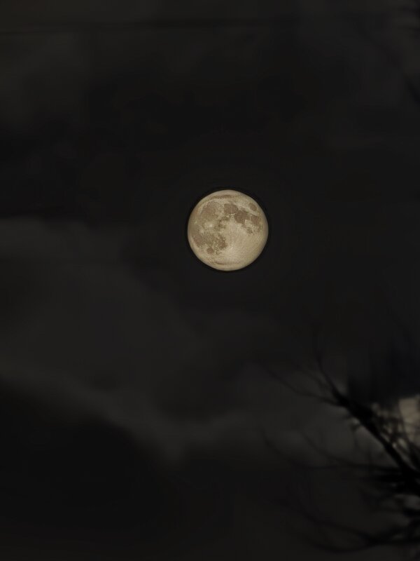 Ночное солнце) - Андрей 