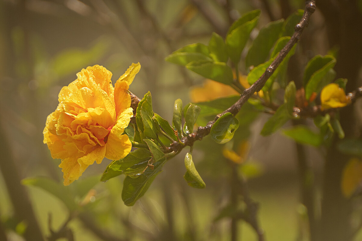 Природа Перу - Svetlana Galvez