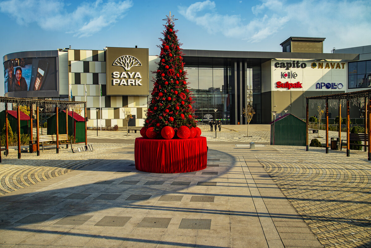 Ёлочка - Анатолий Чикчирный Ёлочка - Анатолий Чикчирный