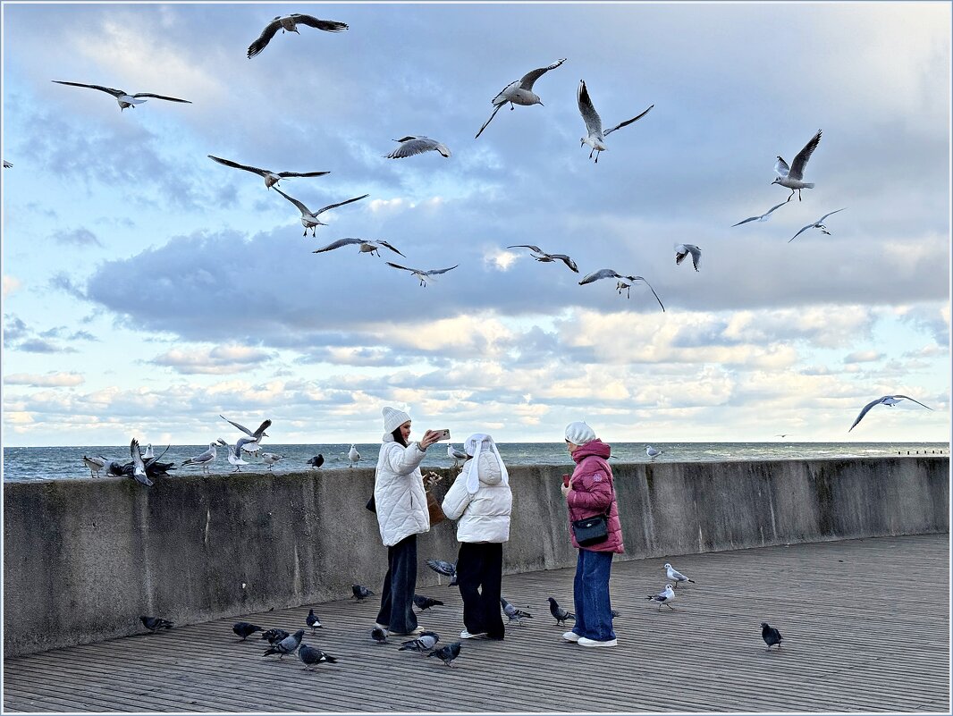 Прогулка у моря. - Валерия Комова Прогулка у моря. - Валерия Комова