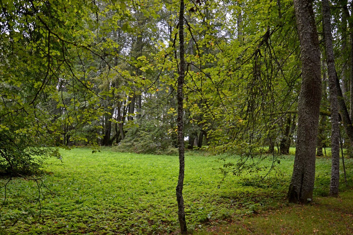 ПЕТРОВСКОЕ, вотчина Ганнибалов. - Виктор Осипчук ПЕТРОВСКОЕ, вотчина Ганнибалов. - Виктор Осипчук