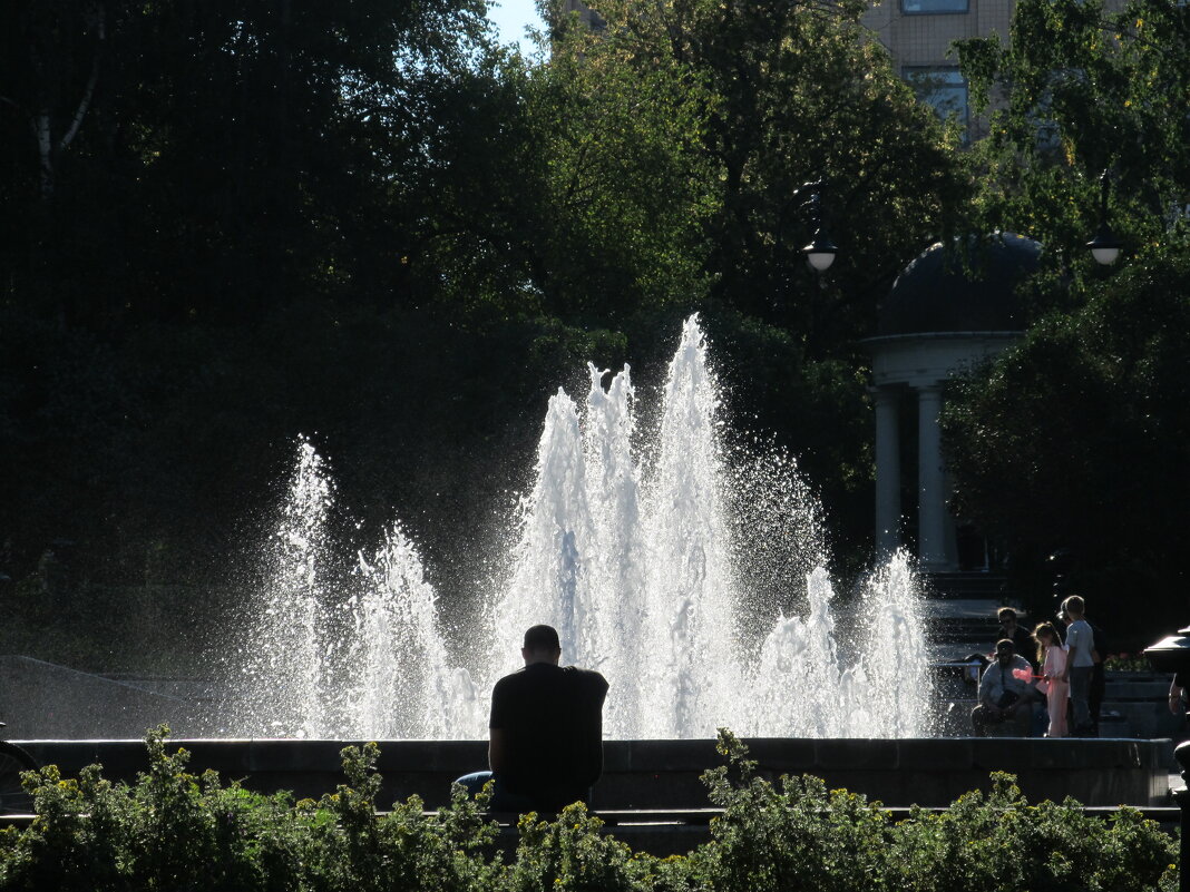 струящееся лето - Елена Шаламова