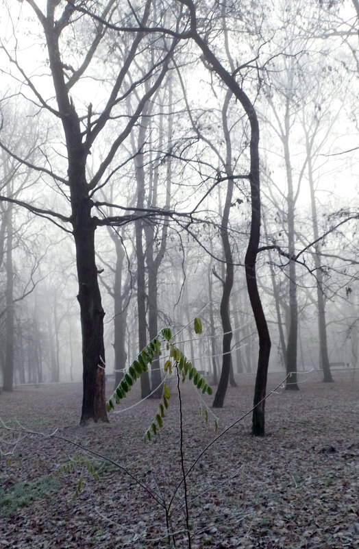 *** - Валентина Береснева
