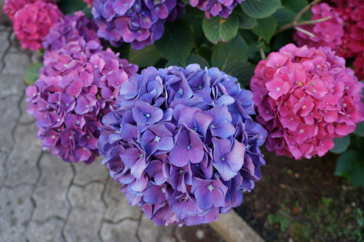 *** *** *** - Алёна Савина *** *** *** - Алёна Савина