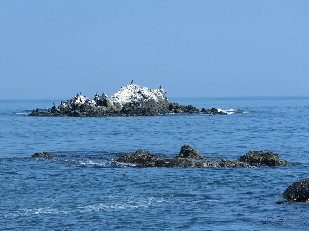 у мыса Евстафия - ИРЭН@ . у мыса Евстафия - ИРЭН@ .