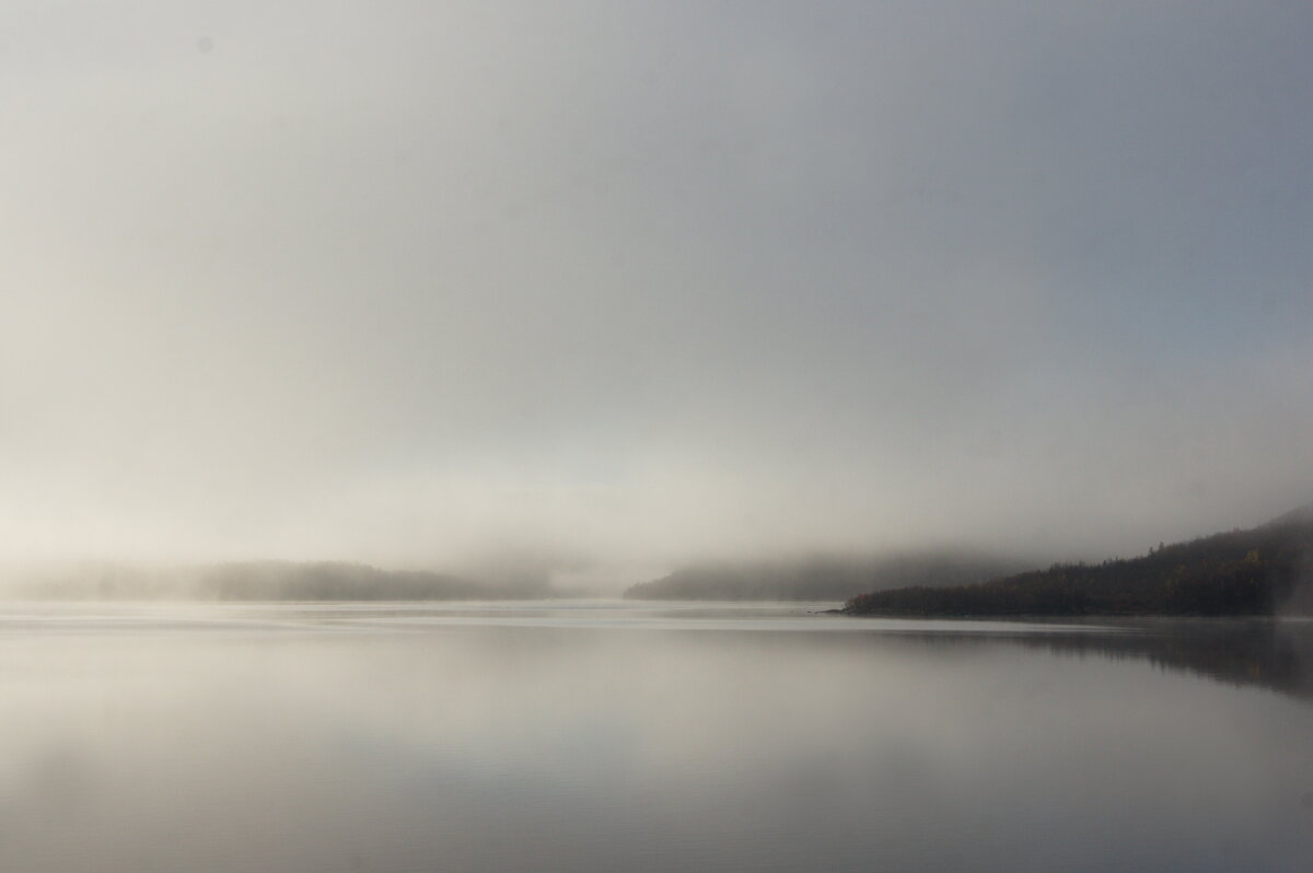 В тумане - Любовь Овсянкина В тумане - Любовь Овсянкина
