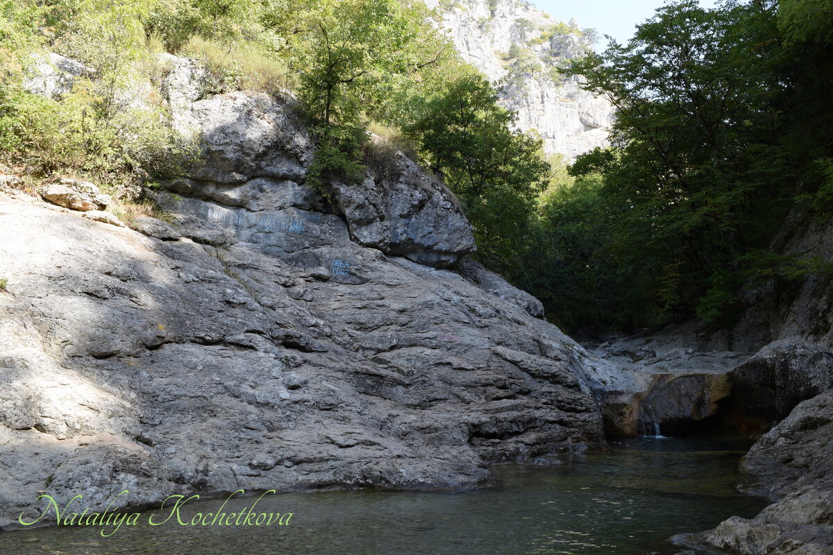 Природа Крыма - Amazing Cosmea