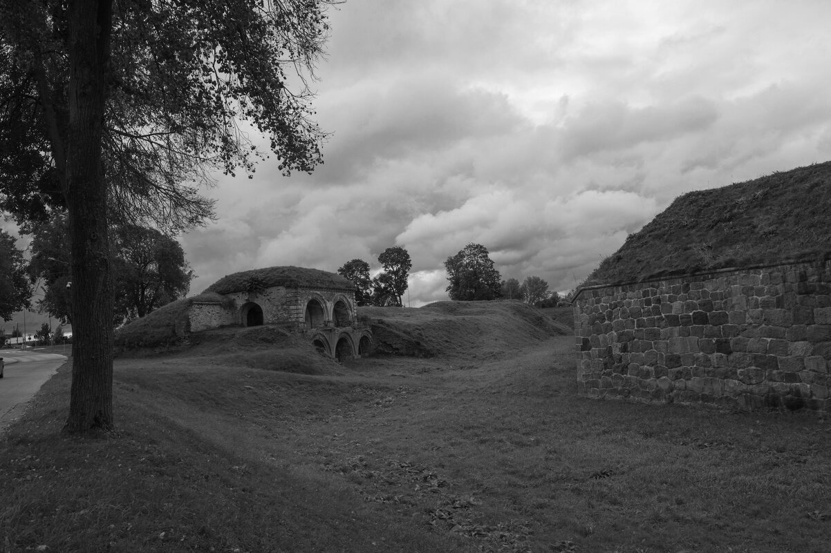 Б/Н - Николай 