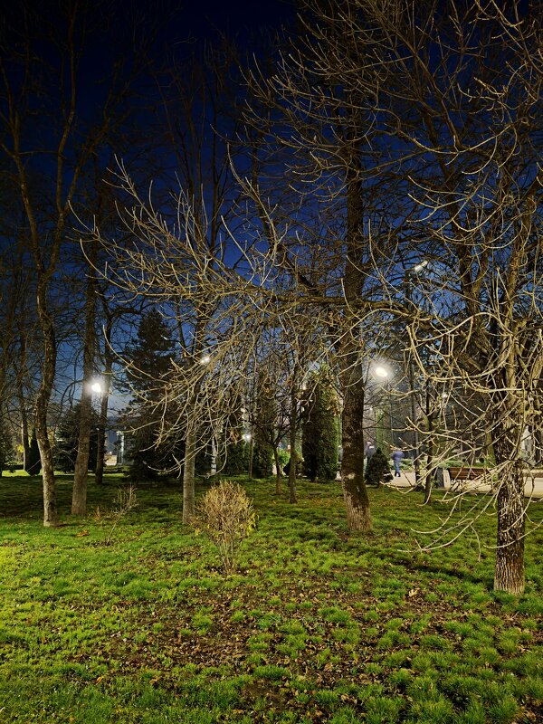 Вечерний пейзаж... - tatyana 