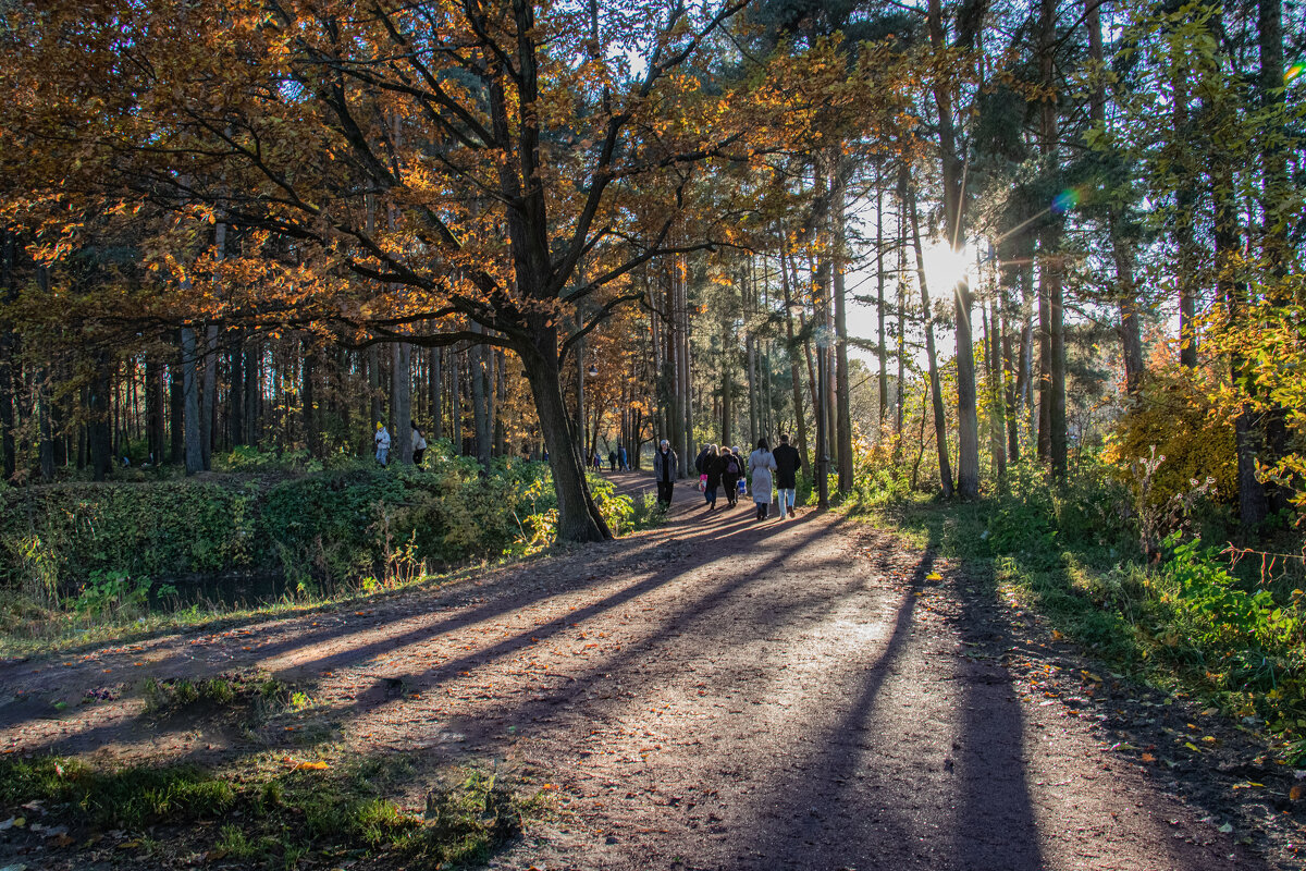 парк Александрино - navalon M
