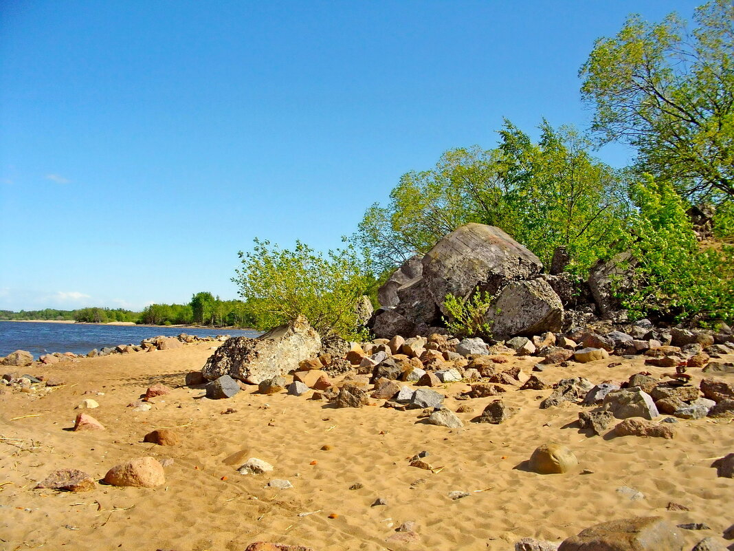 Берег Финского залива. - Лия ☼