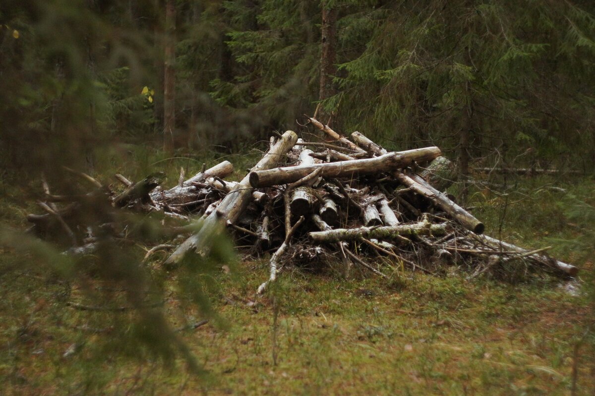 Бревна - fogmeadowww m