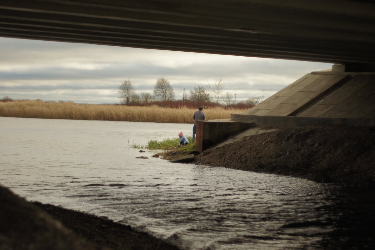 без названия - fogmeadowww m