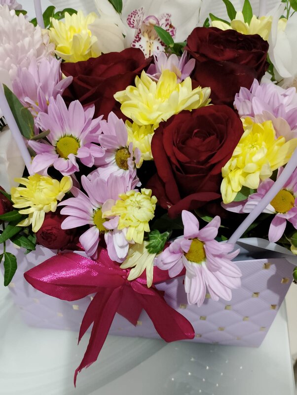 Без повода - Ирэн 