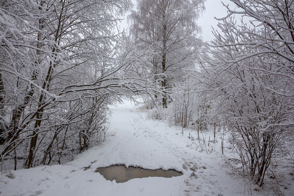 Первый снег. - Андрей Дурапов