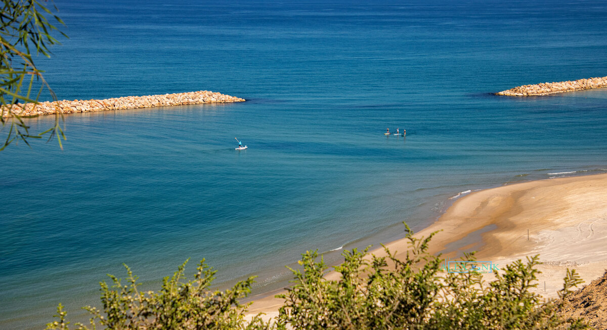 Серфинг. - Argaman Табашник