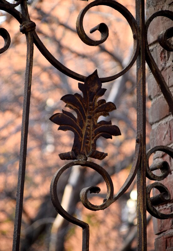 *** - Павленко Михаил 