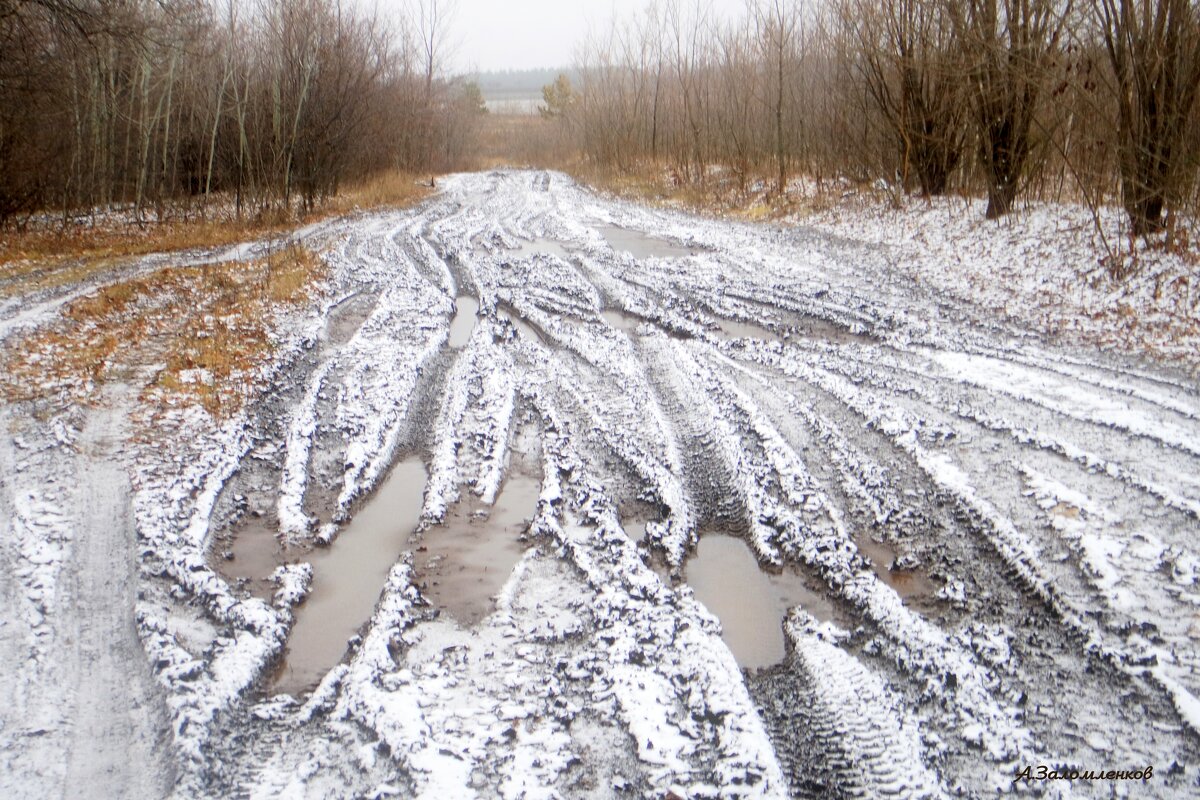 Я по первой пороше бреду... - Андрей Заломленков