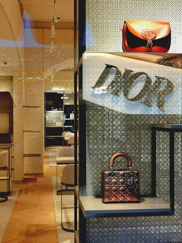 DIOR. Двойная экспозиция. - Любимова Ольга 