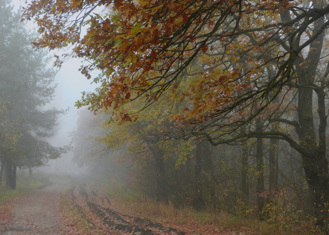 осень - Лера осень - Лера