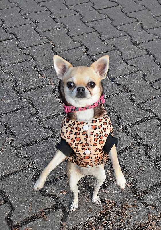 Здравствуйте! Доброго всем воскресенья! - Валентина Нефёдова Здравствуйте! Доброго всем воскресенья! - Валентина Нефёдова