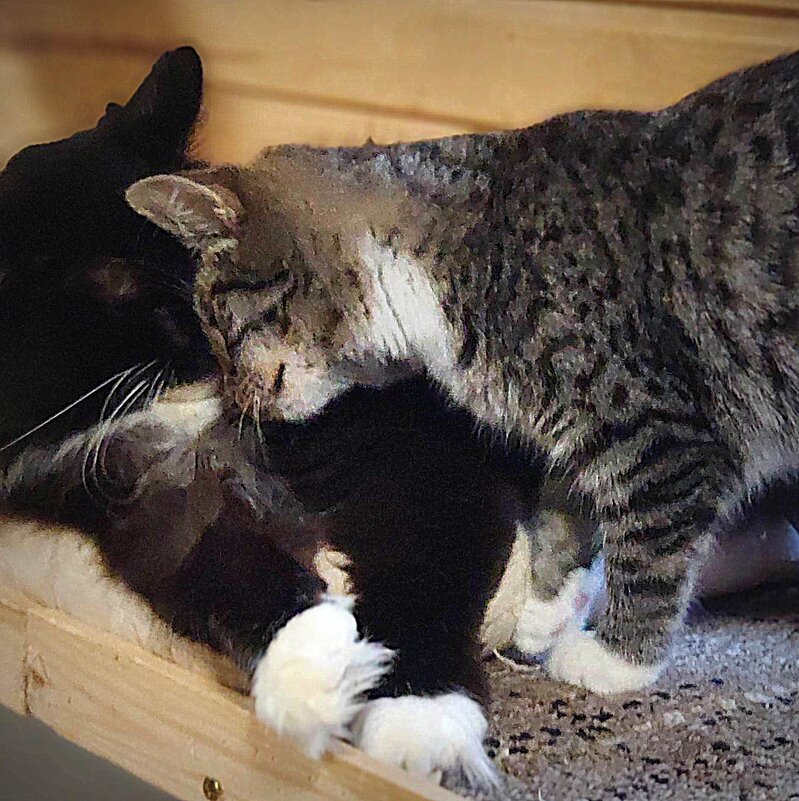 давай мириться,,, - Любовь давай мириться,,, - Любовь