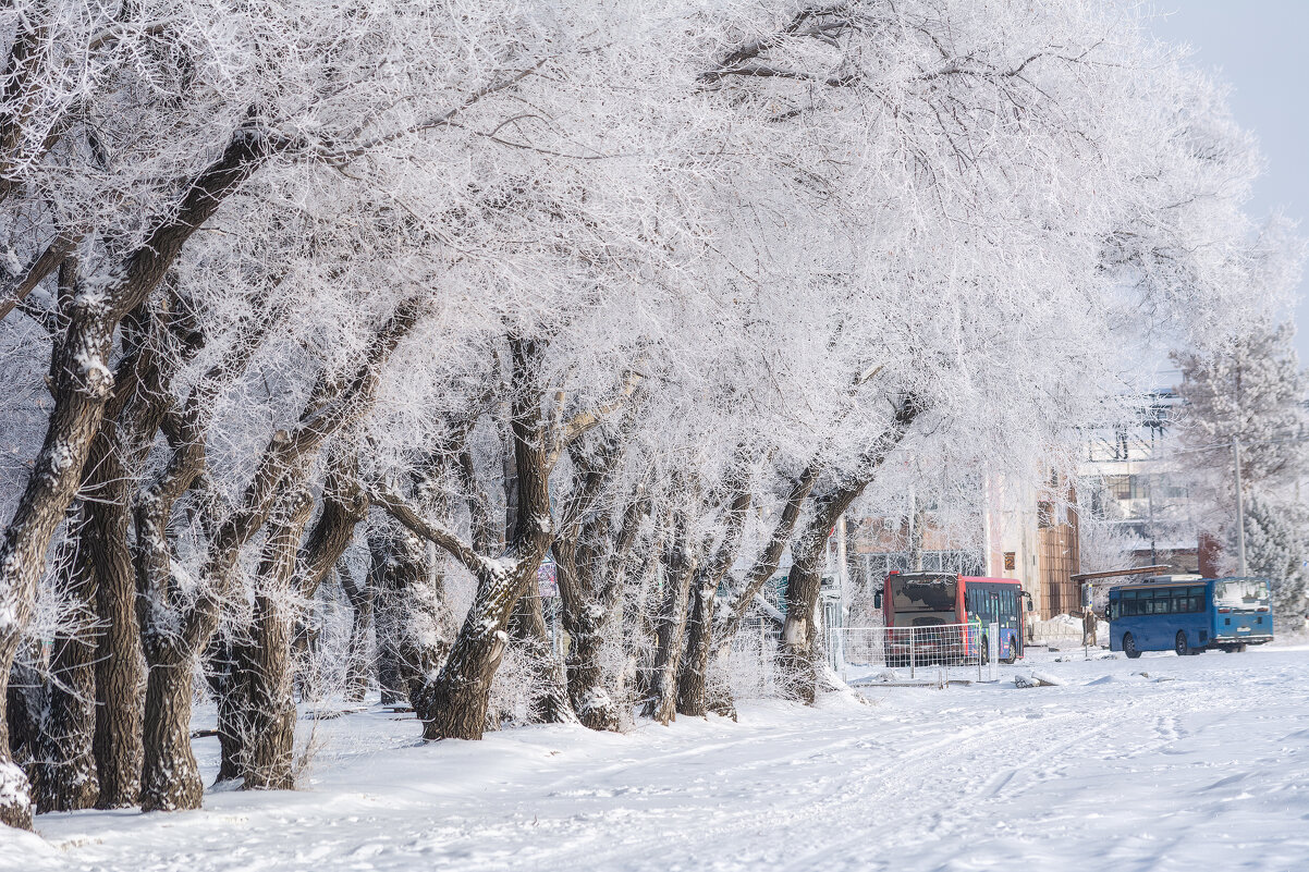 Чудесная зима - Виктор Иванович Чернюк Чудесная зима - Виктор Иванович Чернюк