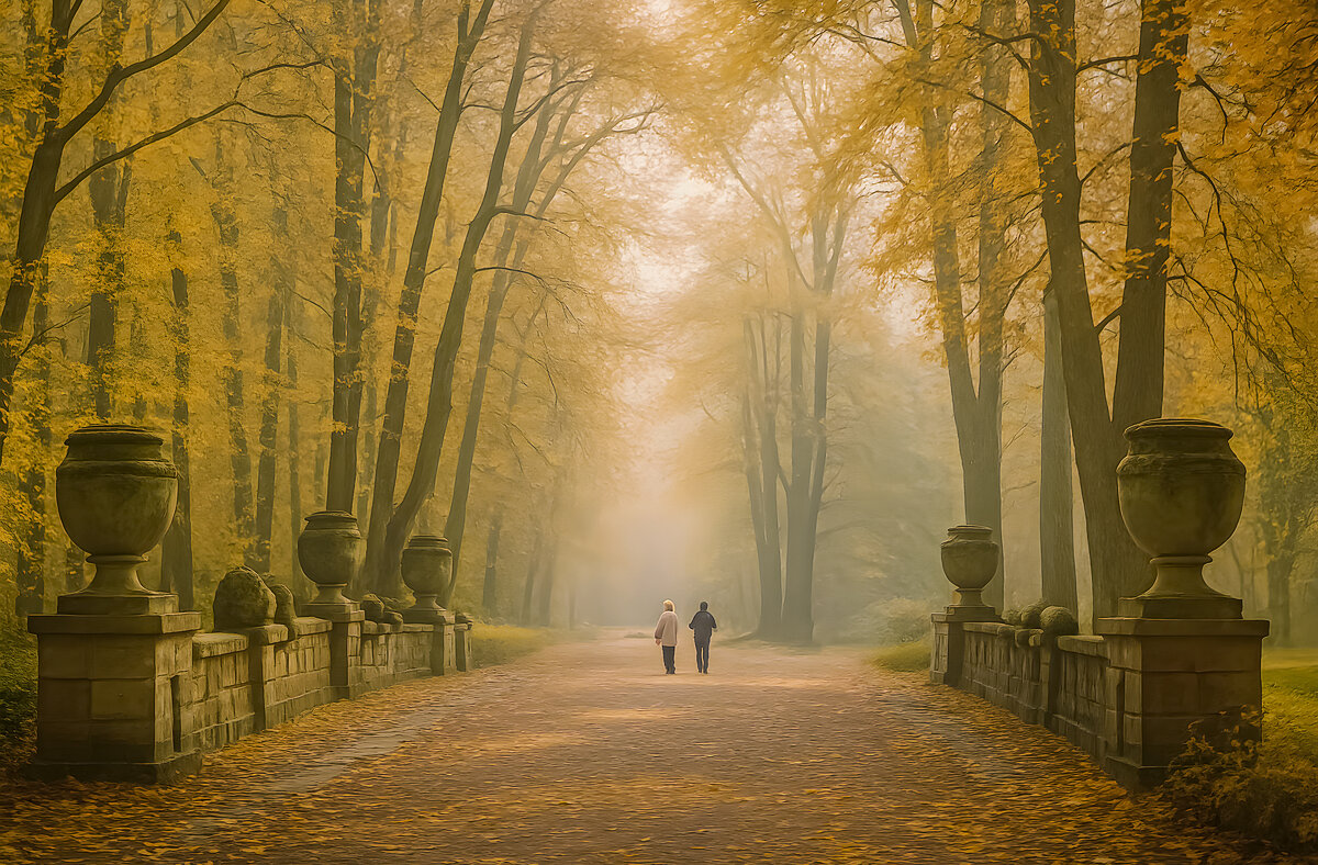 ***- - Aleksey Afonin