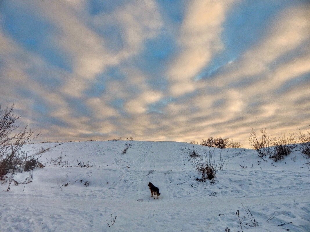 Здравствуй, новый день! - Елена Хайдукова ( Elena Fly ) Здравствуй, новый день! - Елена Хайдукова ( Elena Fly )