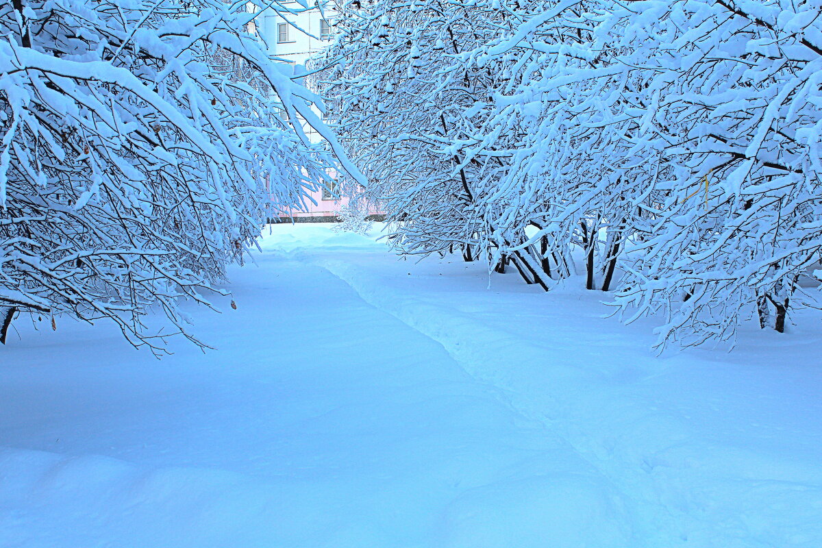 Когда небо синее - снег голубой - Татьяна Лютаева