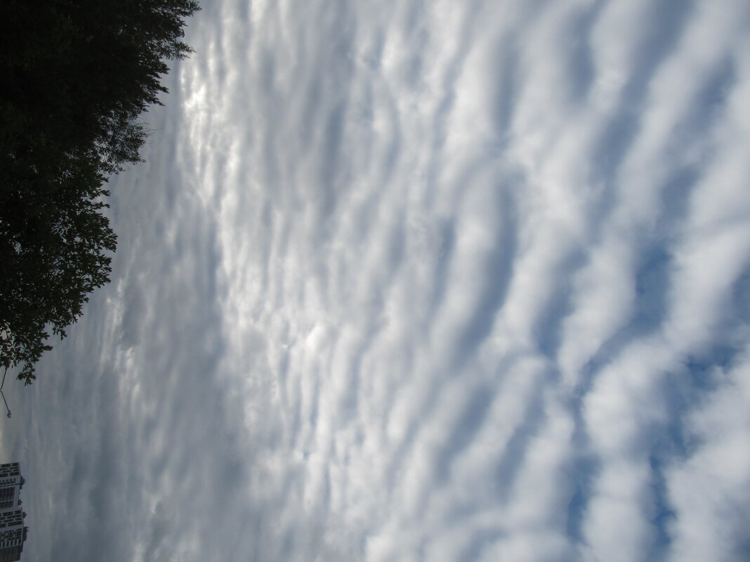 небо в полоску - Елена Шаламова