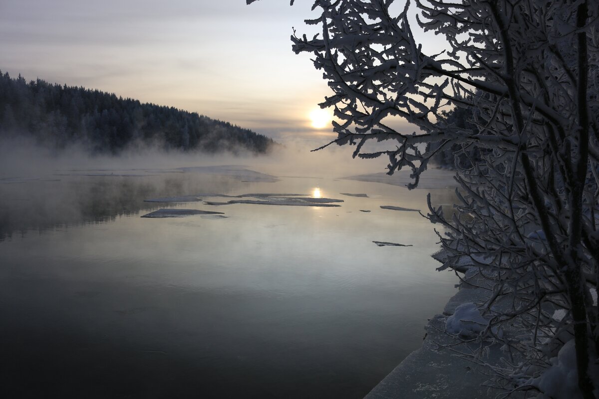 Зимняя Нива - Ольга Зимняя Нива - Ольга