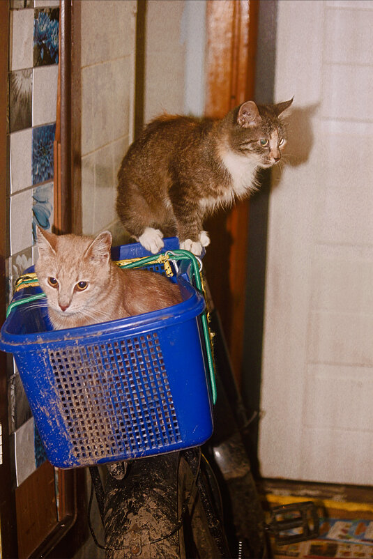 Поехали кататься - Сергей Кочнев