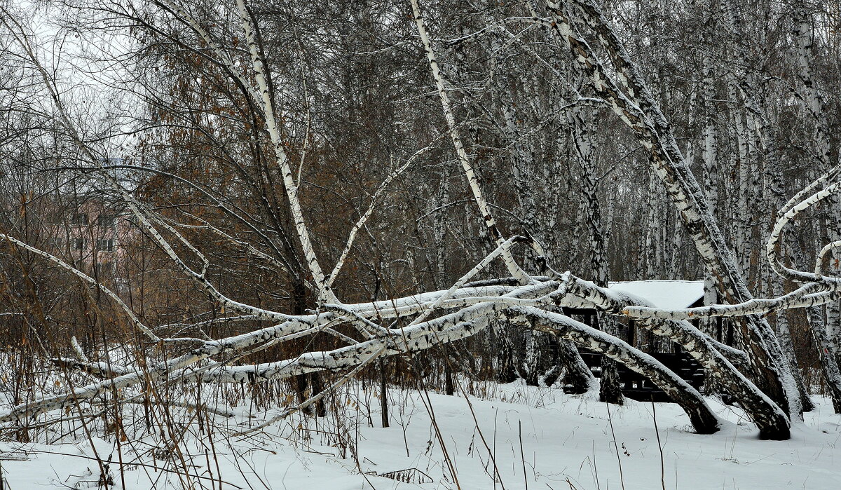 И так зимуем.... - Анатолий Анищик