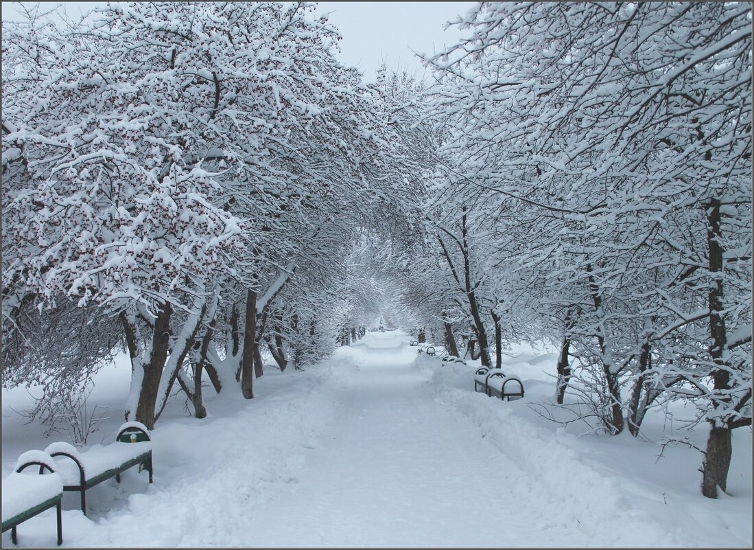 Зима пришла ... - Валентина Надсон Зима пришла ... - Валентина Надсон