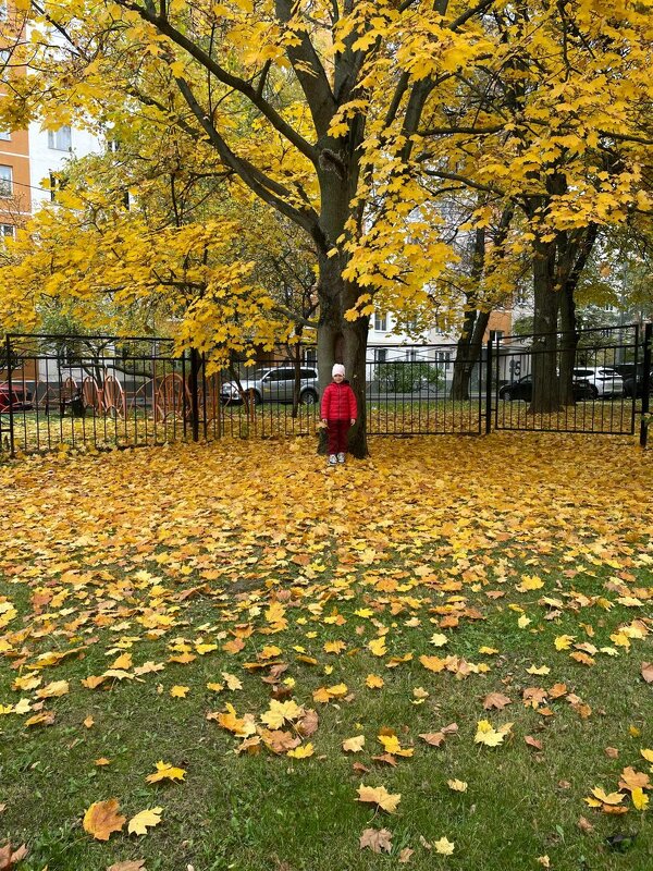 дни осенние - tatiana 