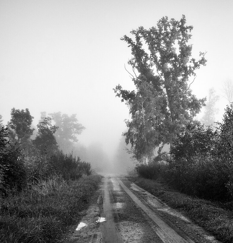 В туманах - Genych Bartkus В туманах - Genych Bartkus