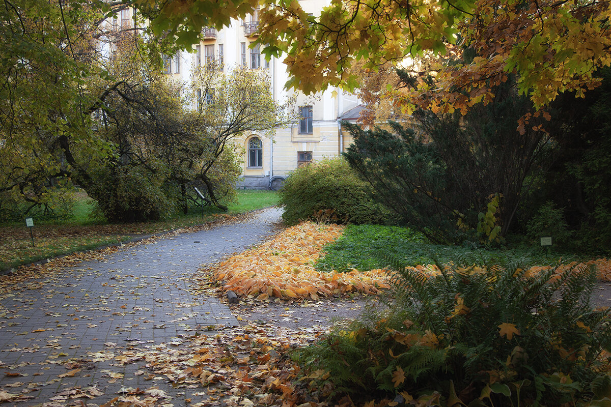 Осень в ботаническом саду. - Лилия * Осень в ботаническом саду. - Лилия *