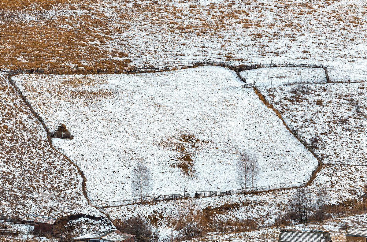 Из серии "Графика первого снега" - Фёдор. Лашков