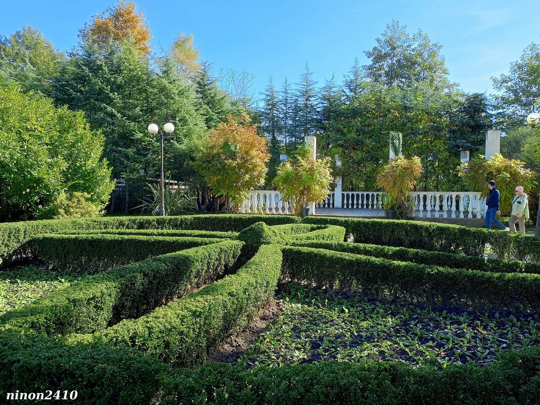 Адлер. Дендропарк "Южные культуры" - Нина Бутко Адлер. Дендропарк "Южные культуры" - Нина Бутко