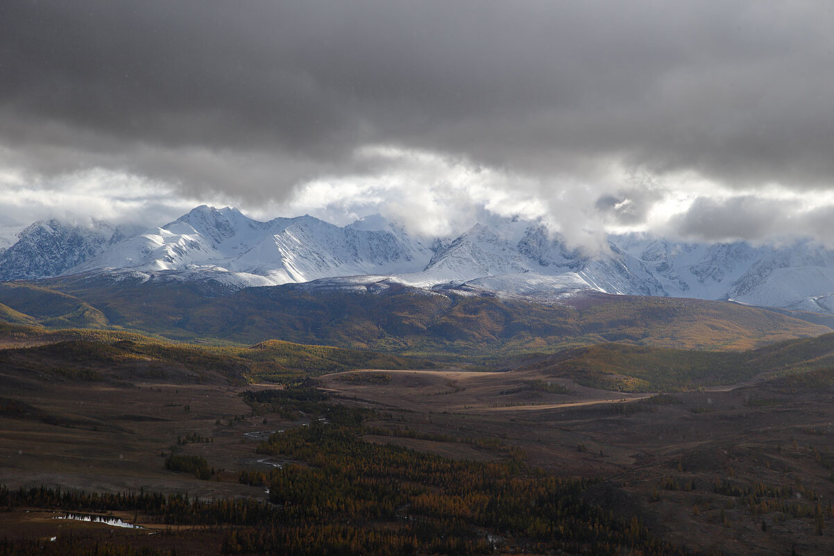 *** - владимир 
