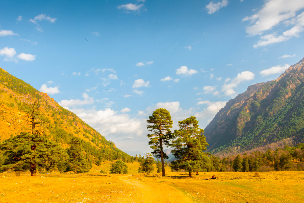 *** - Аnatoly Gaponenko