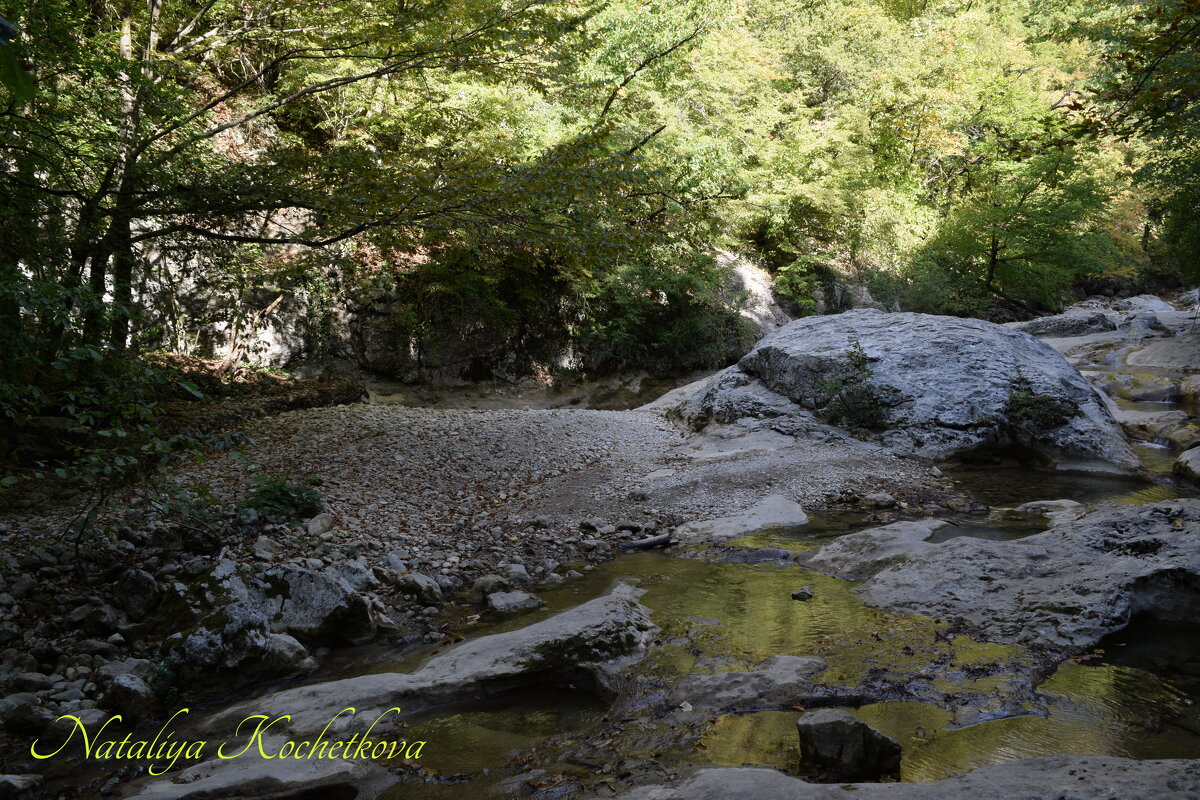 Природа Крыма - Amazing Cosmea