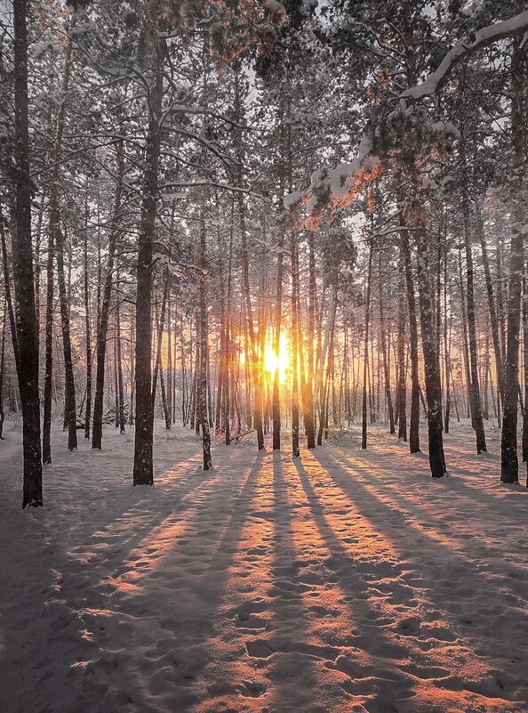 На исходе дня - alex graf На исходе дня - alex graf