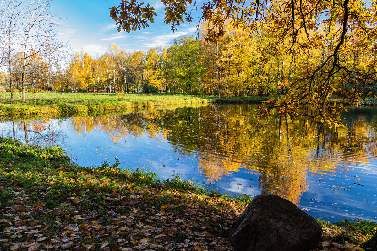в парке - navalon M в парке - navalon M