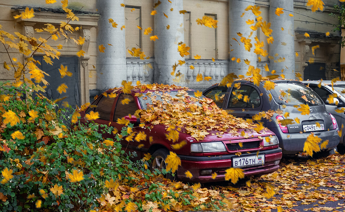 осенний мотив.... - Владимир Матва осенний мотив.... - Владимир Матва