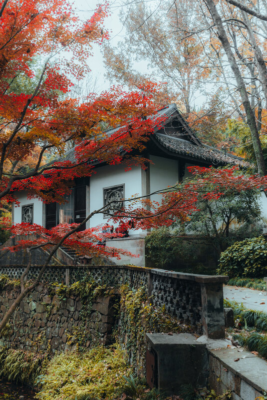 Парк "Источник Хупао," или "Источник тигра" - Дмитрий Парк "Источник Хупао," или "Источник тигра" - Дмитрий